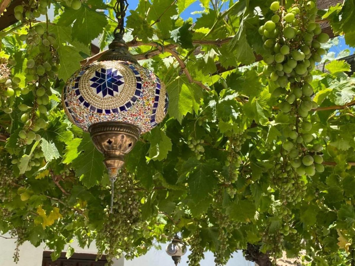 B&B Los Lujos Oria Екстериор снимка